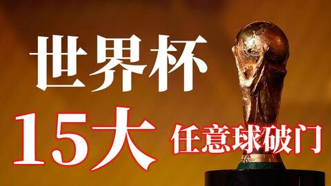 其中不乏乒 其中不乏乒